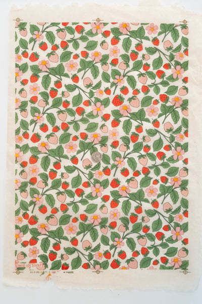 Available 9.21.26 Strawberry Plants Underglaze Transfer
