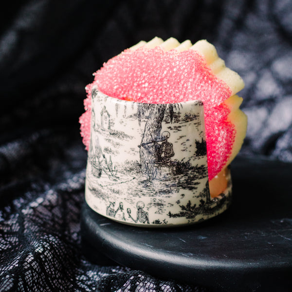 Pre-Order Skeleton Picnic Sponge Holder